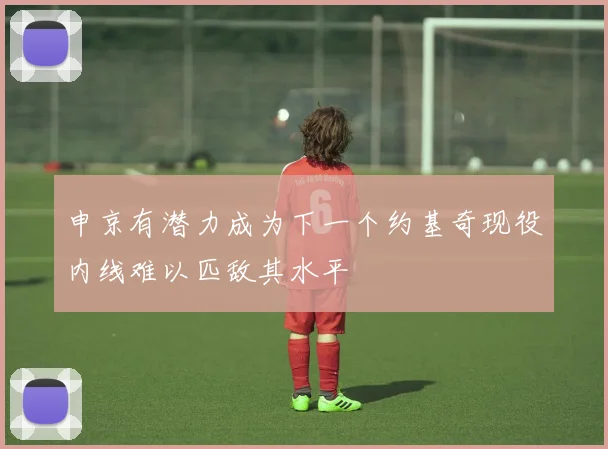 申京有潜力成为下一个约基奇现役内线难以匹敌其水平