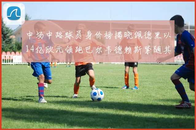 中场中路球员身价榜揭晓佩德里以14亿欧元领跑巴尔韦德赖斯紧随其后