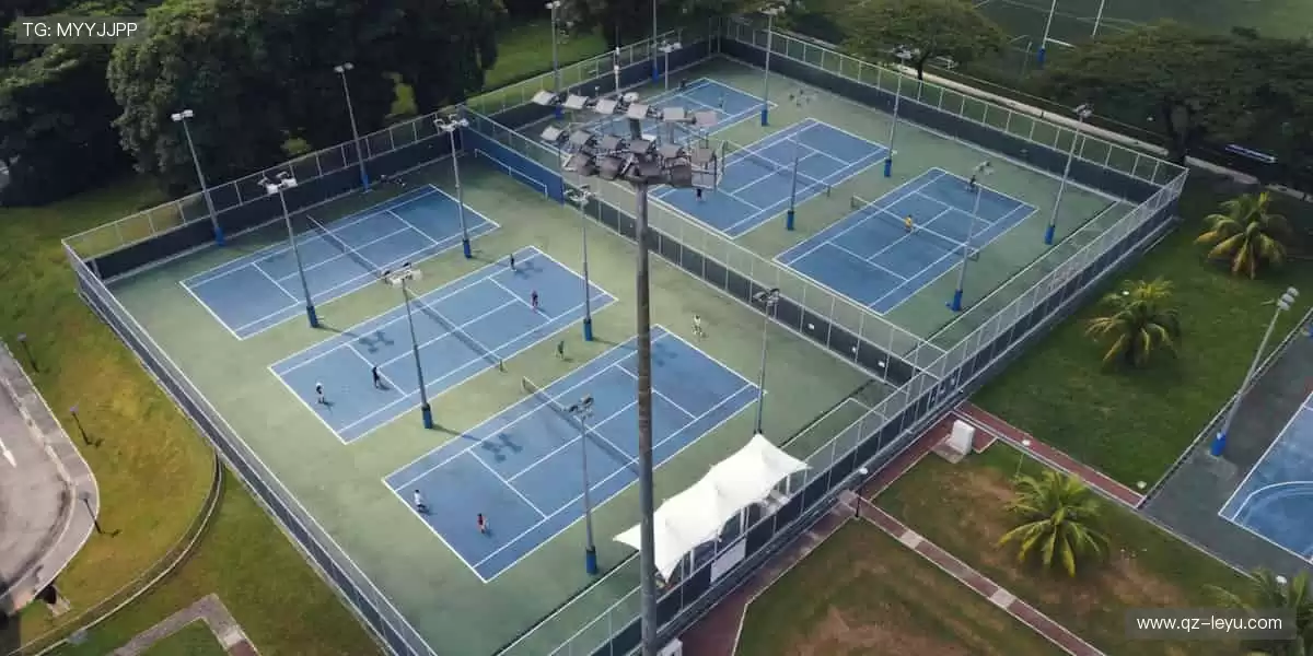 🎯 专业装备,助力突破极限!💪 每一次挥拍,都是精准的胜利!